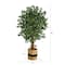 5.5ft. Palace Ficus Artificial Tree in Handmade Natural Cotton Planter